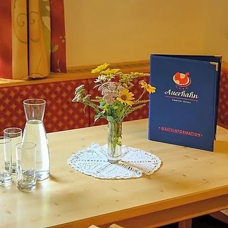 Hotel Hotel&appartement Auerhahn Obertauern